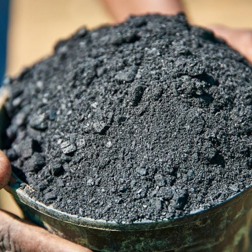 Biochar: Miracle Solution for the Environment?