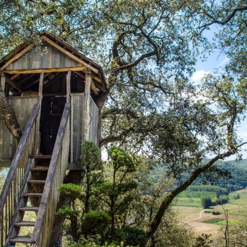 Building a treehouse: what permits are required?