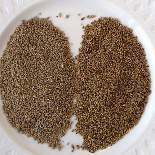 How to cook millet and enjoy its benefits?