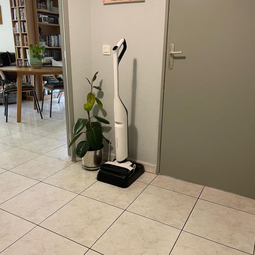 My Opinion on the Roborock Flexi Lite Vacuum Cleaner
