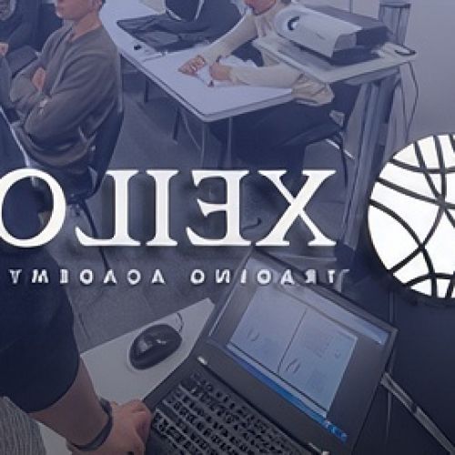 Training in trading through the CPF: an accessible and regulated opportunity