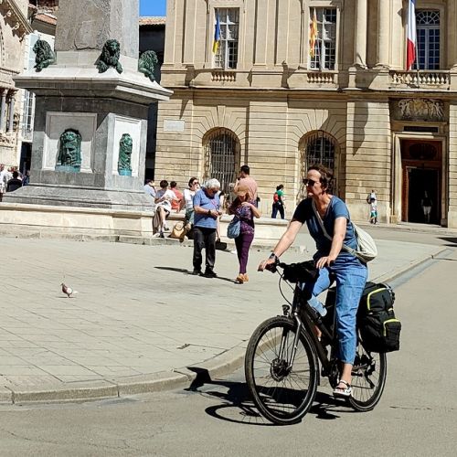 World Bicycle Day: Why Pedaling is the Solution to Your Problems